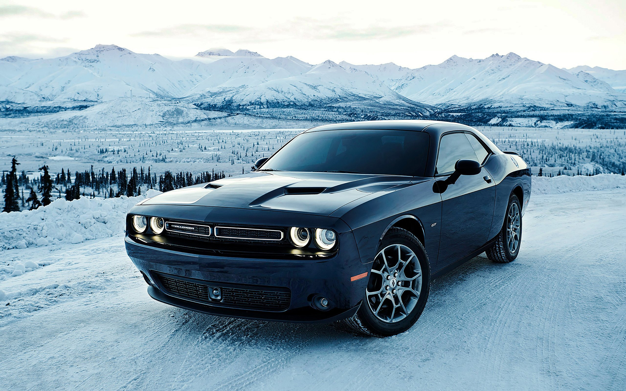 Dodge Challenger 4K Wallpapers