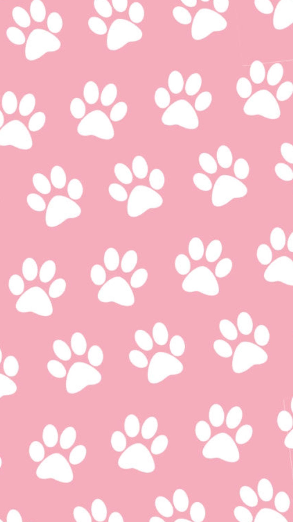 Dog Paw Wallpapers