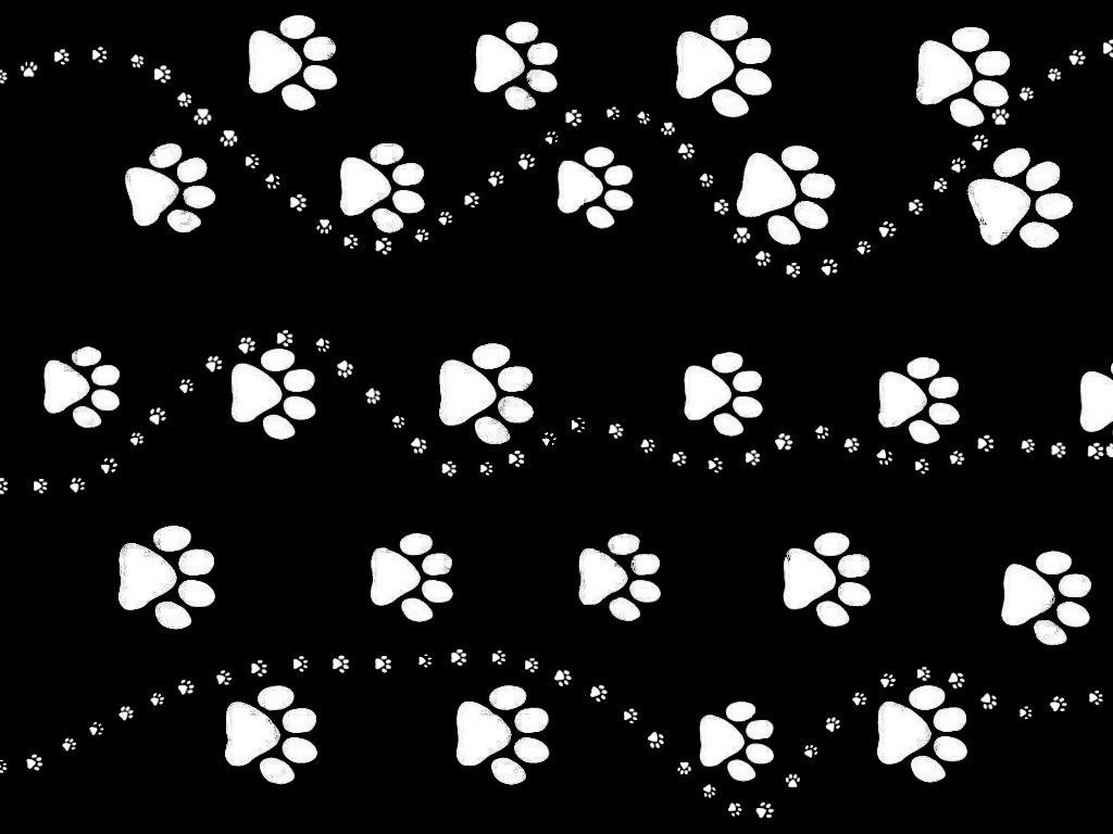 Dog Paw Wallpapers