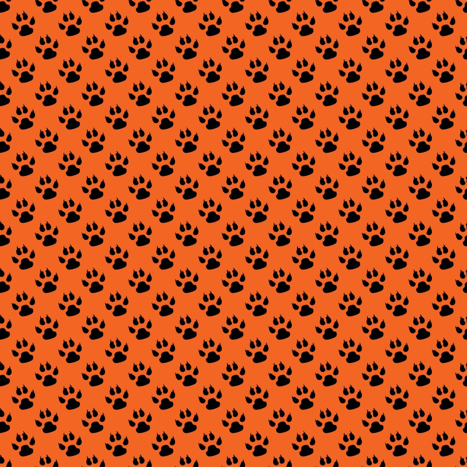 Dog Paw Wallpapers