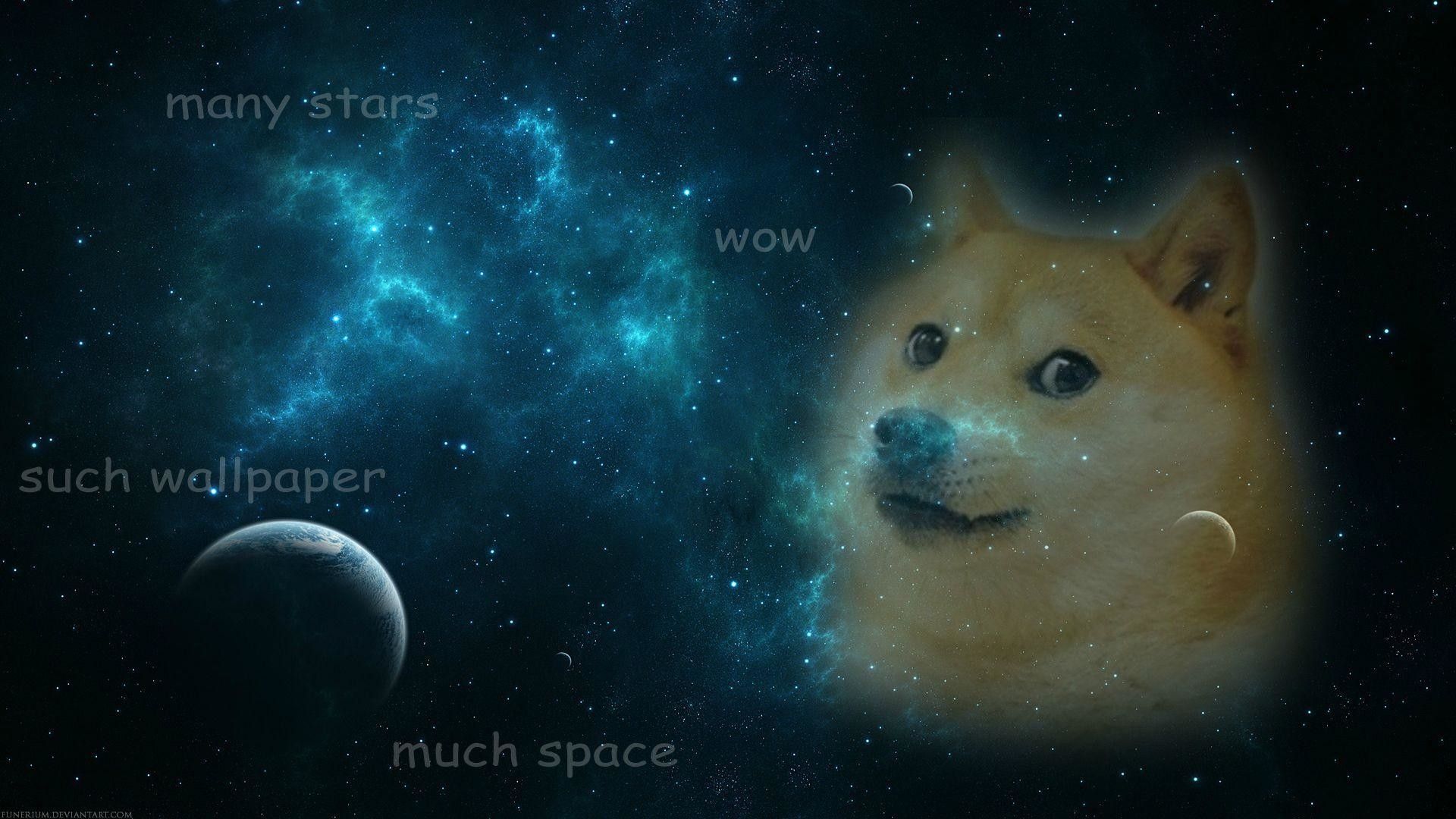 Dog With Garlic On Head In Space Wallpapers