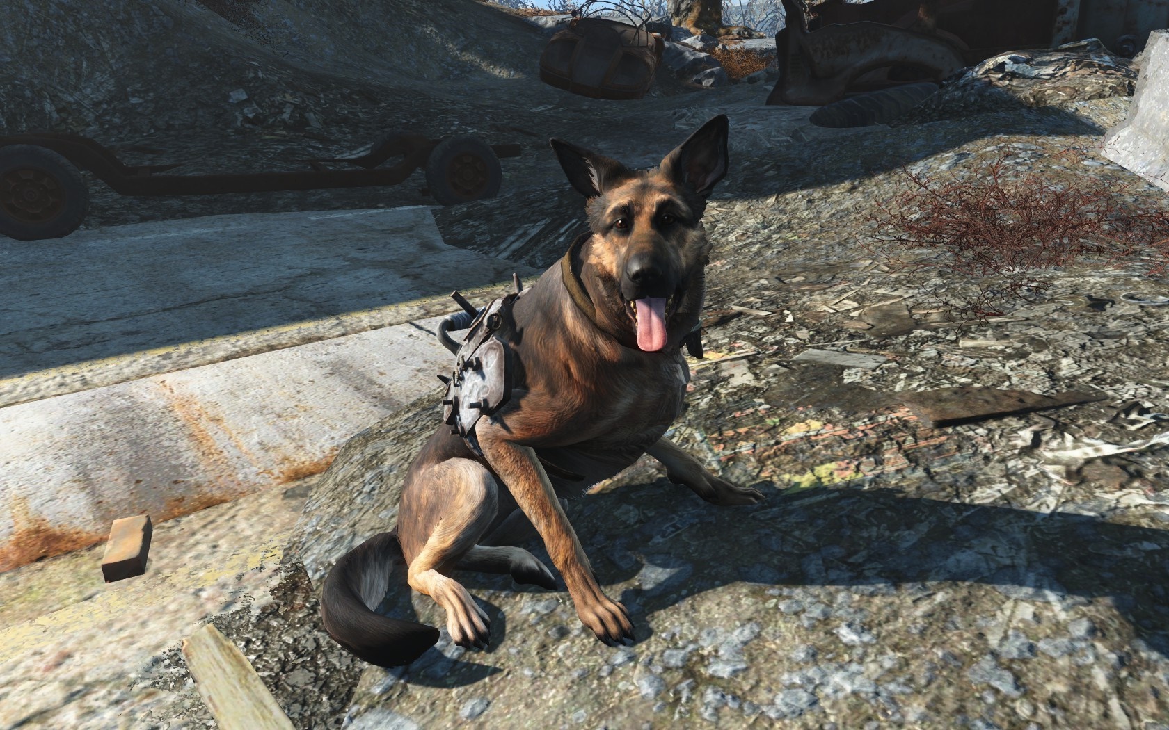 Dogmeat Wallpapers