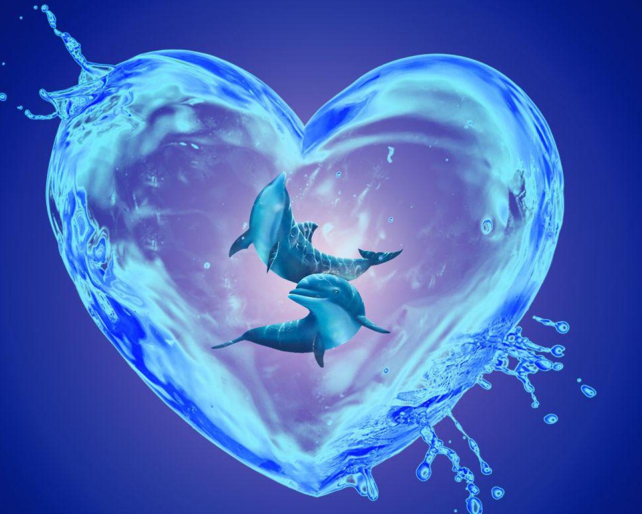 Dolphin Heart Wallpapers