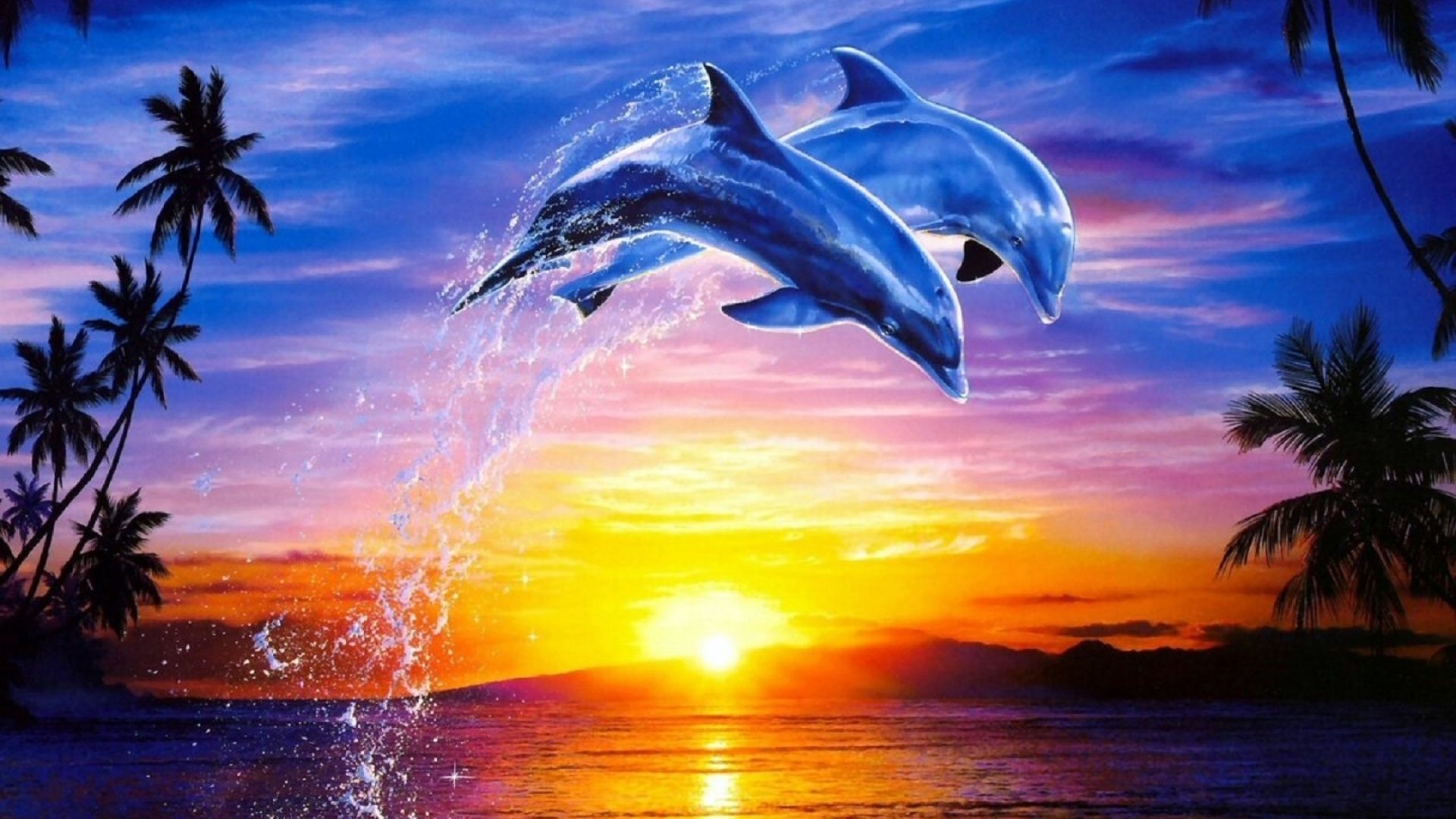 Dolphin Heart Wallpapers