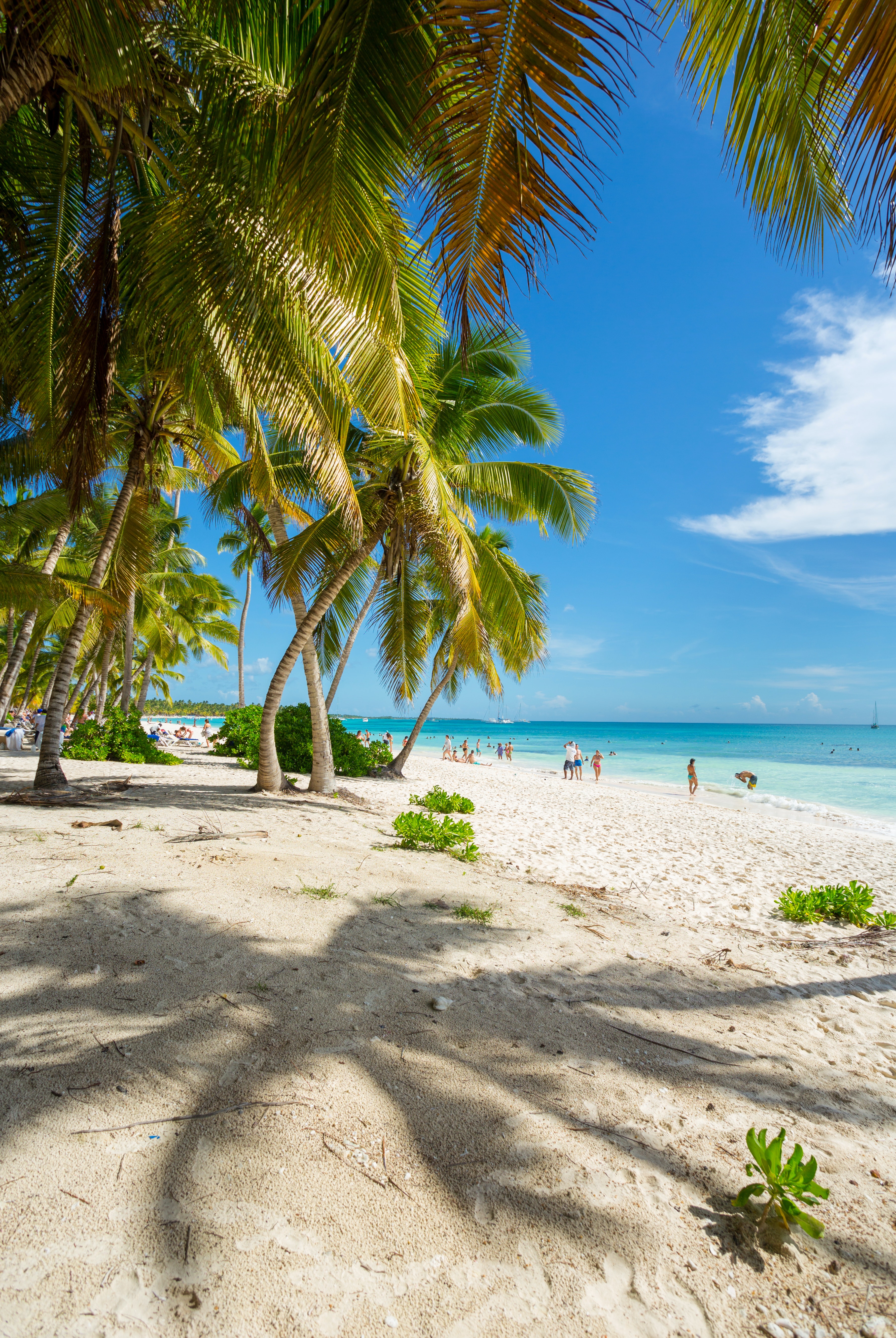 Dominican Republic Beaches Wallpapers