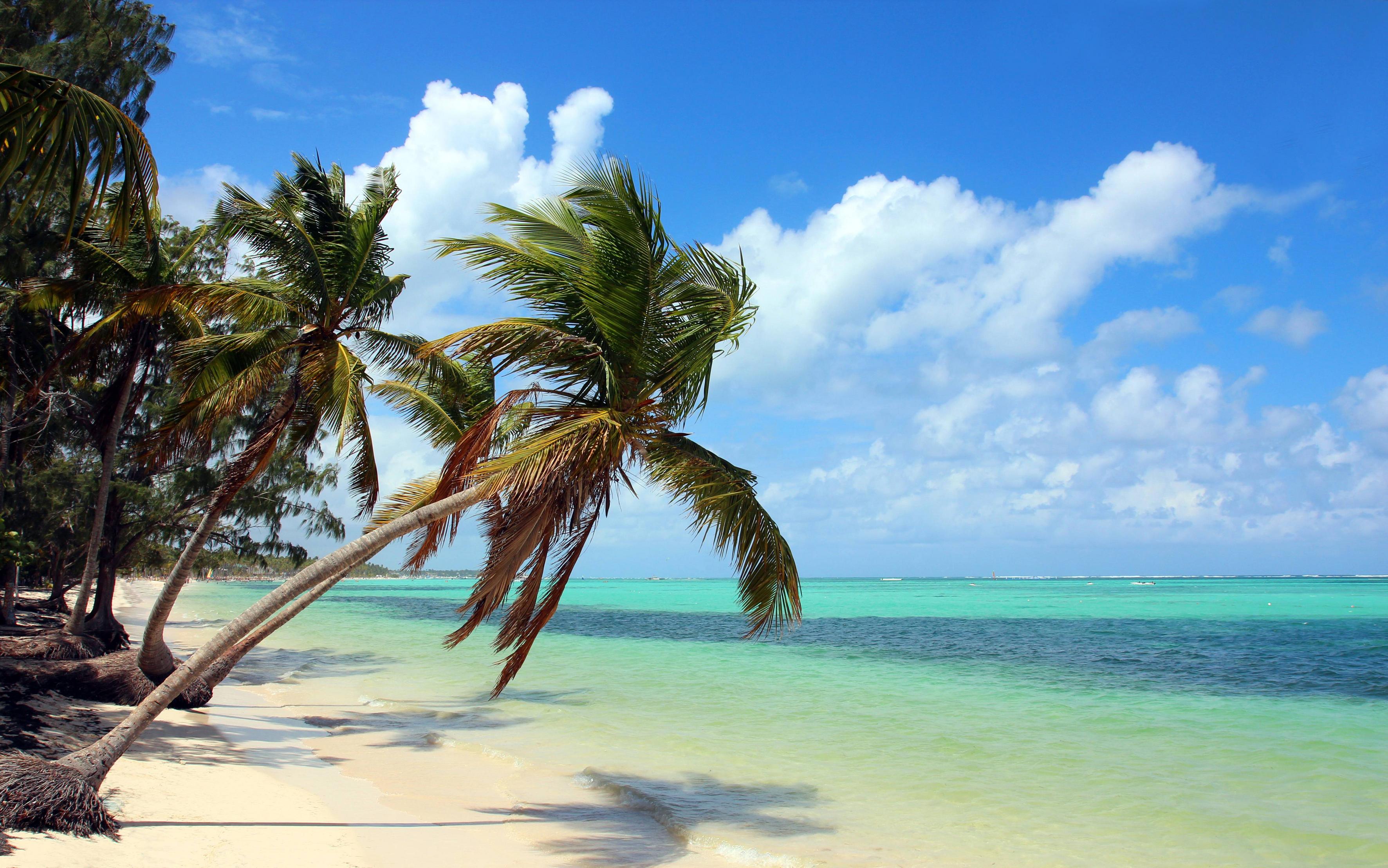 Dominican Republic Beaches Wallpapers