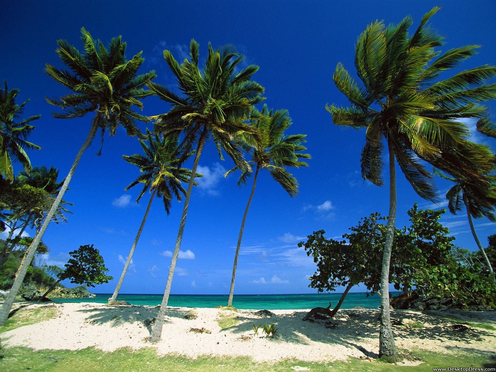 Dominican Republic Beaches Wallpapers