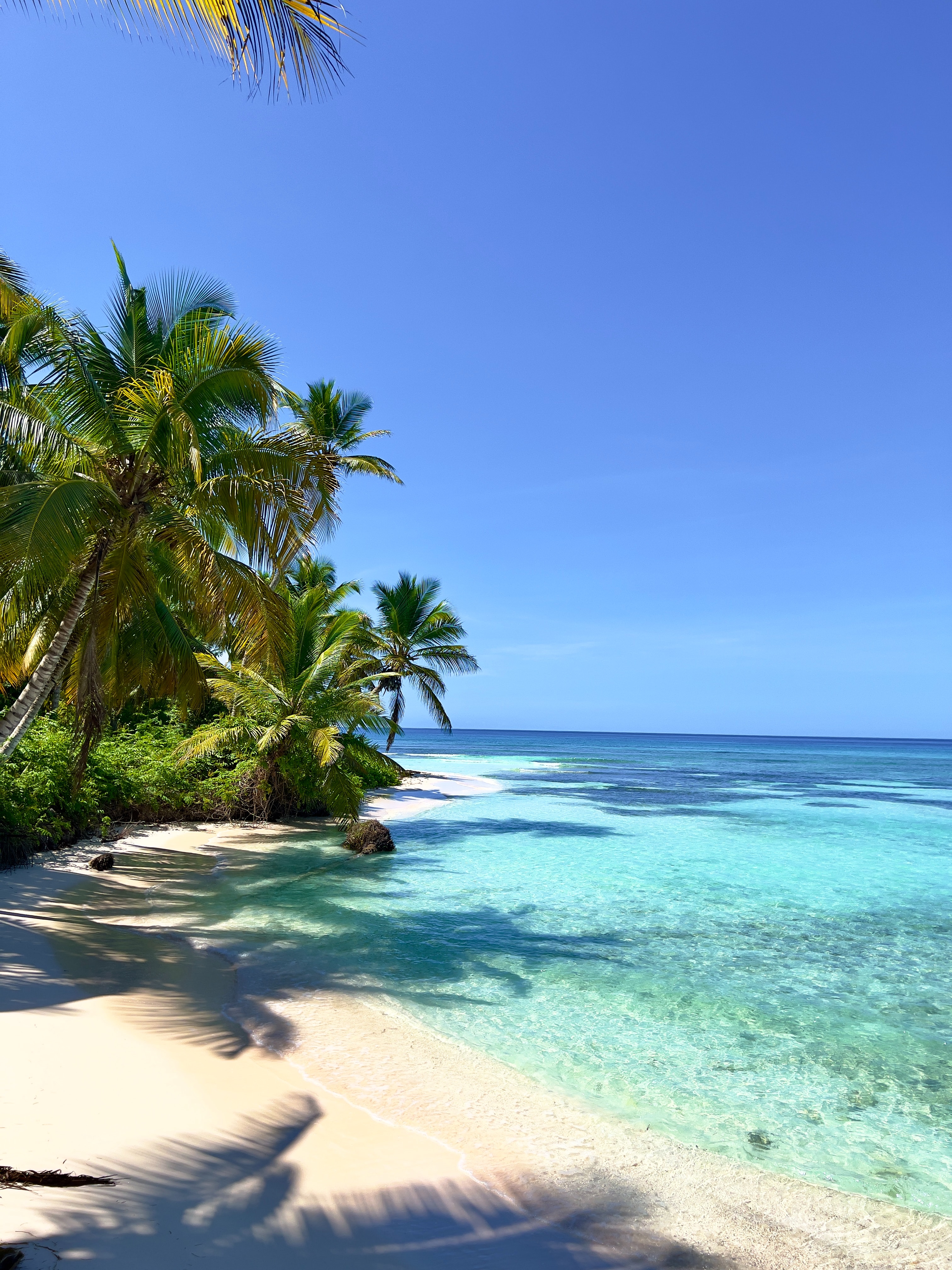 Dominican Republic Beaches Wallpapers