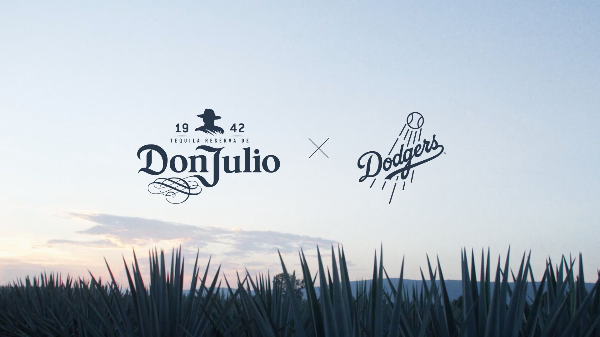 Don Julio Wallpapers