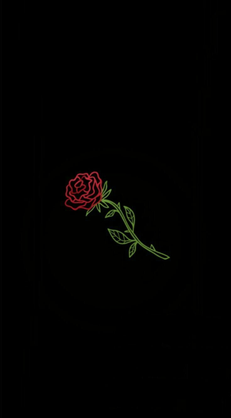 Dope Rose Wallpapers