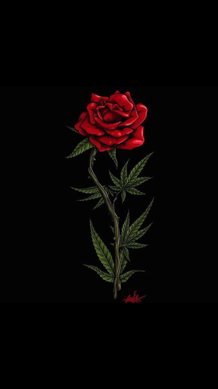 Dope Rose Wallpapers