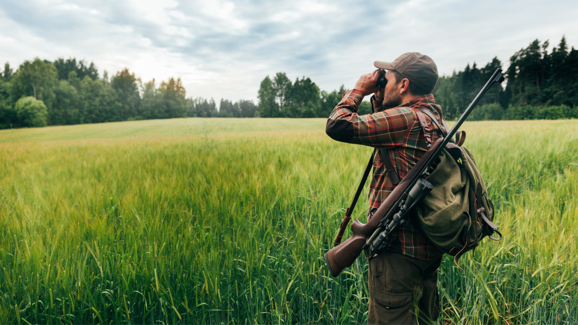 Dove Hunting Wallpapers