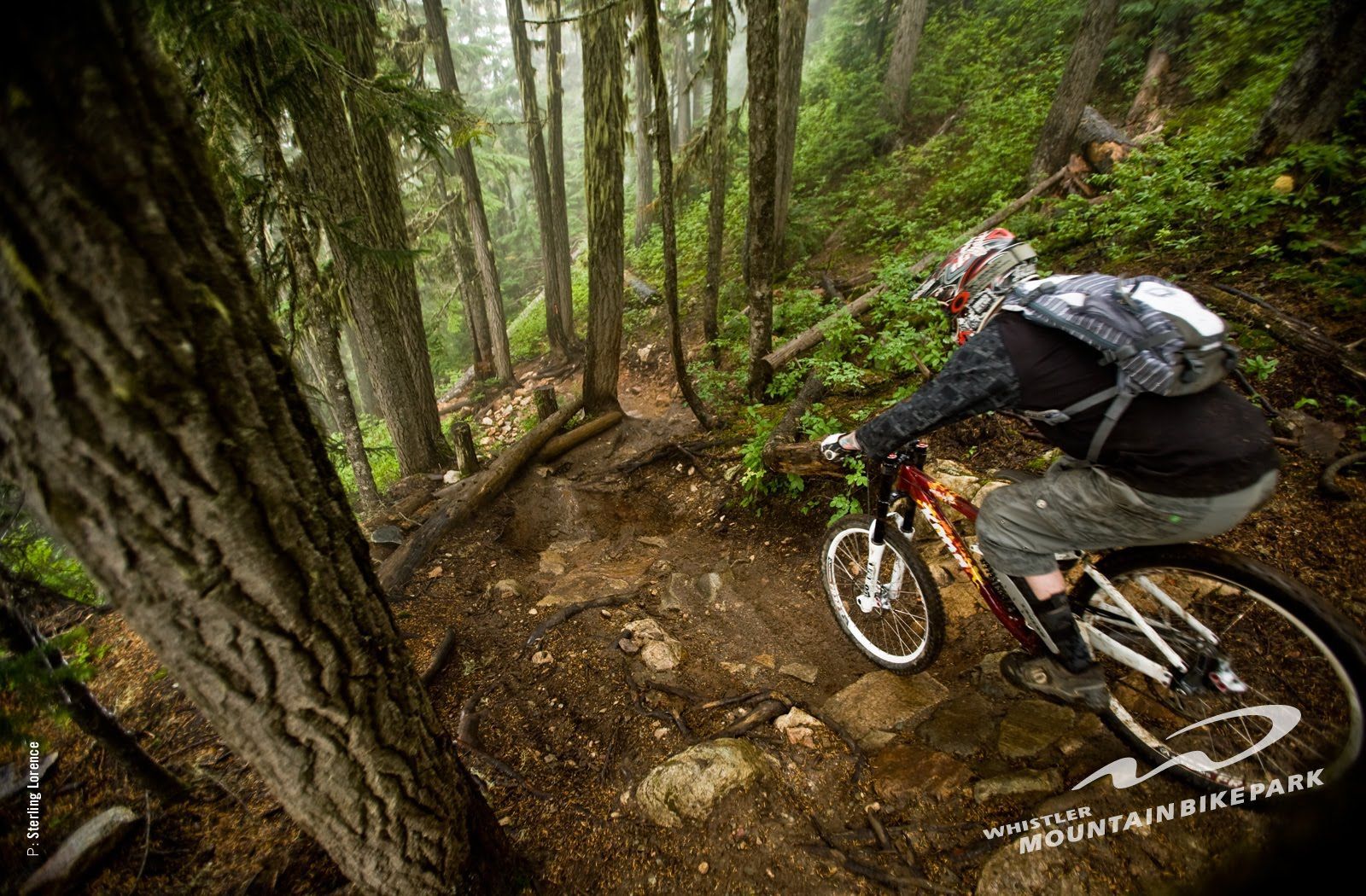 Downhill Mountain Biking Wallpapers