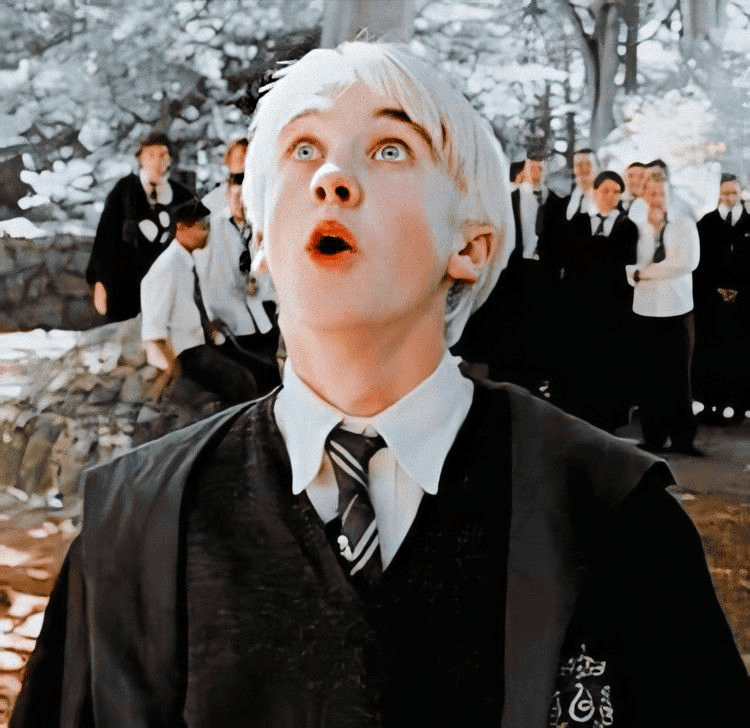 Draco Malfoy Second Year Wallpapers