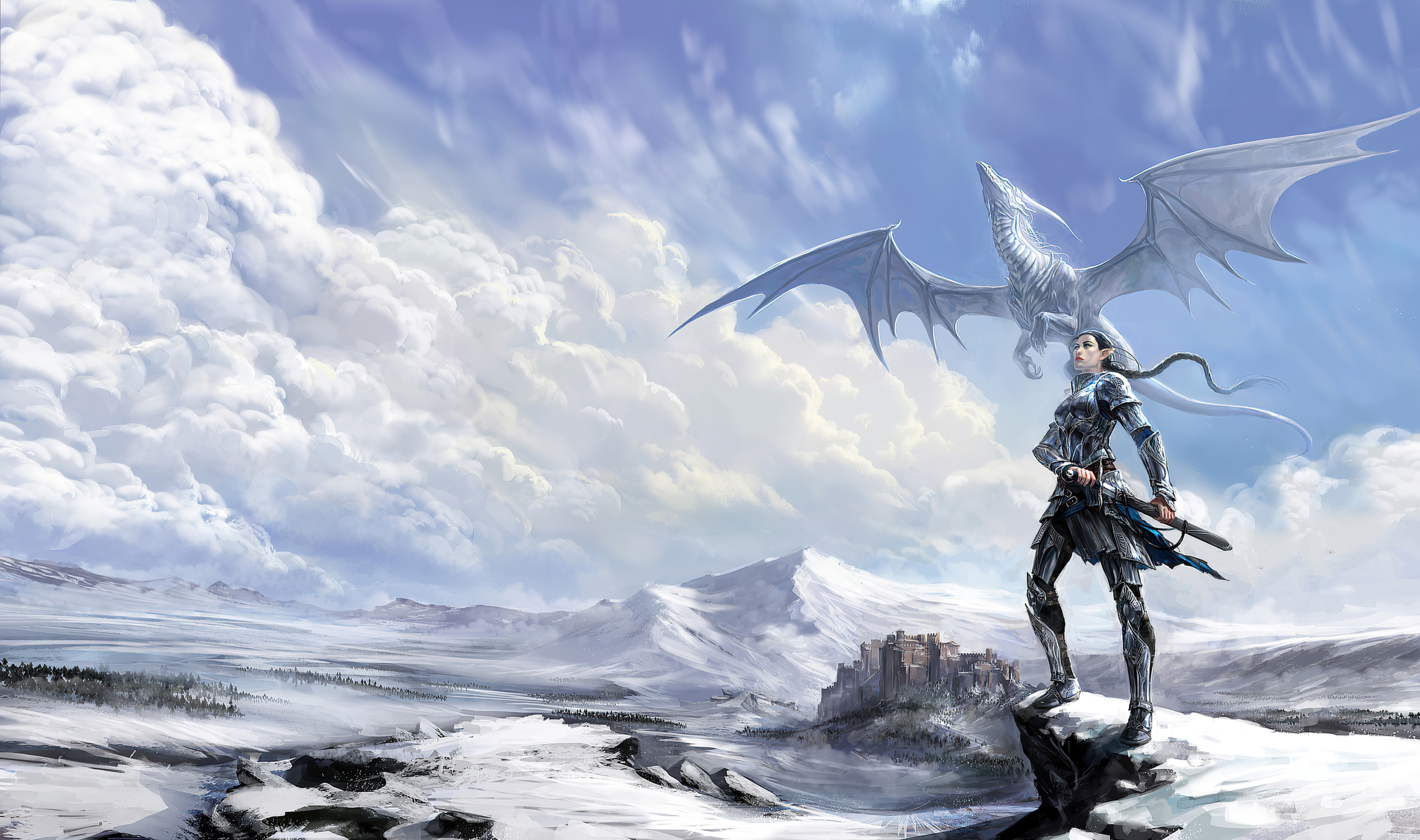 Dragon Armor Wallpapers