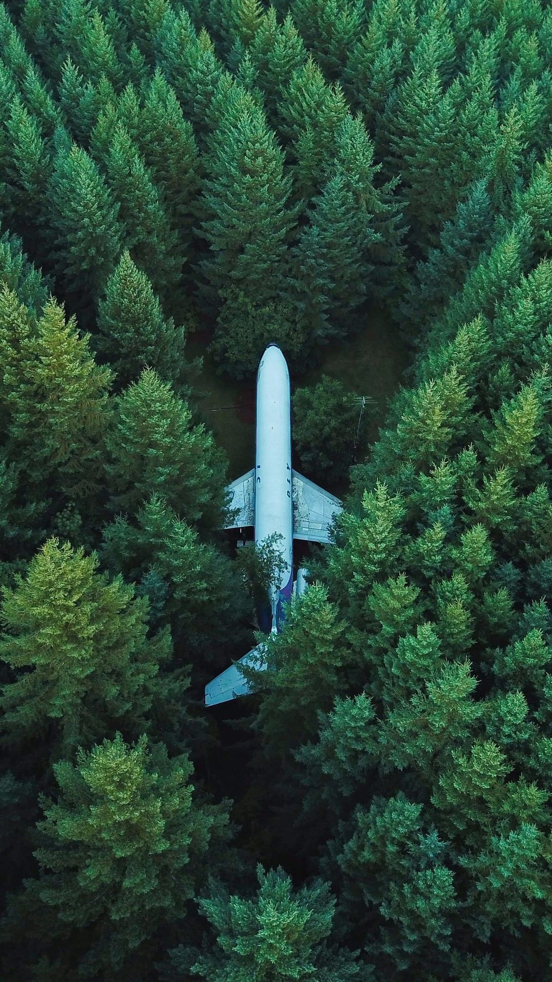 Drone Forest Wallpapers