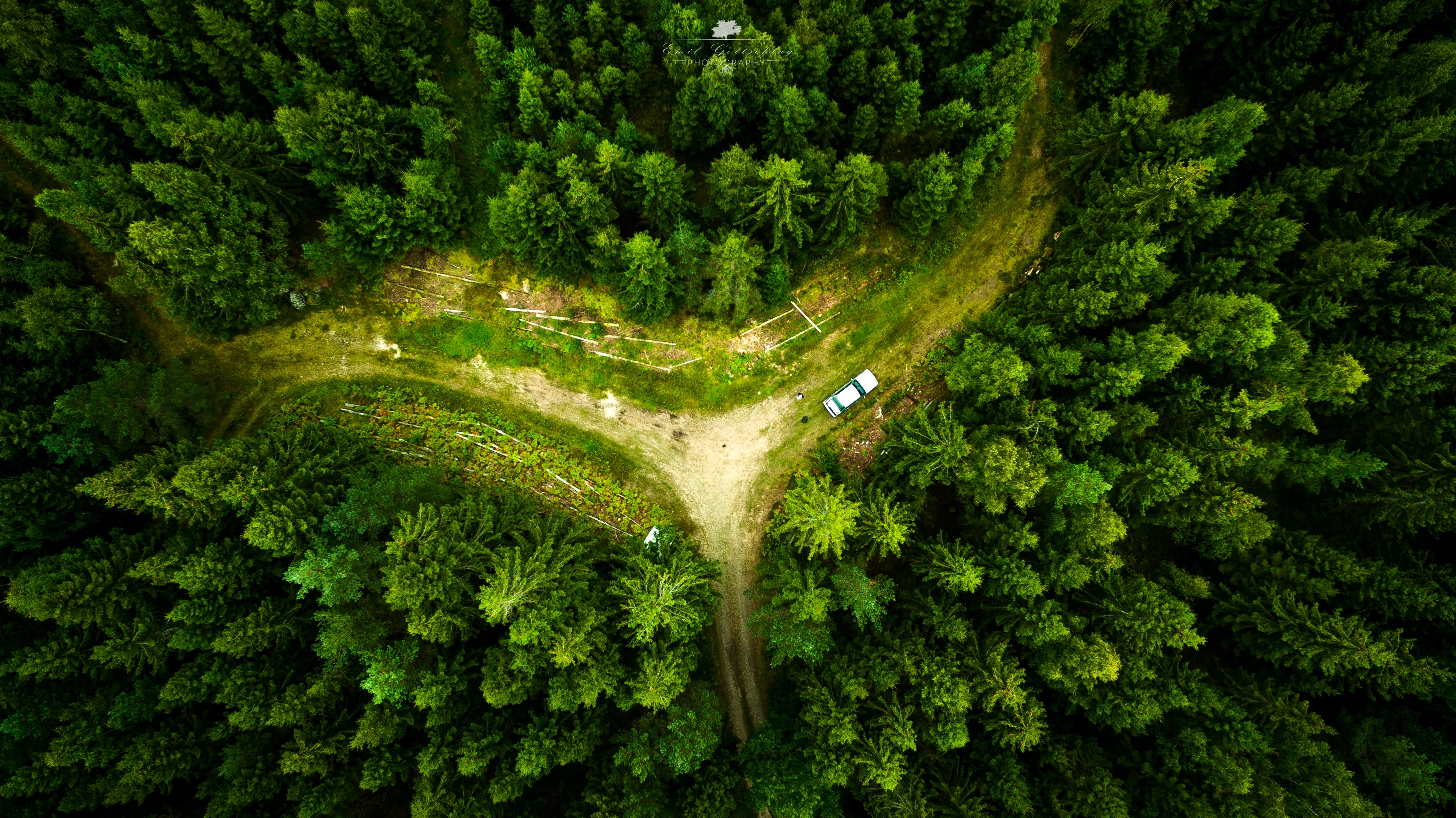 Drone Forest Wallpapers