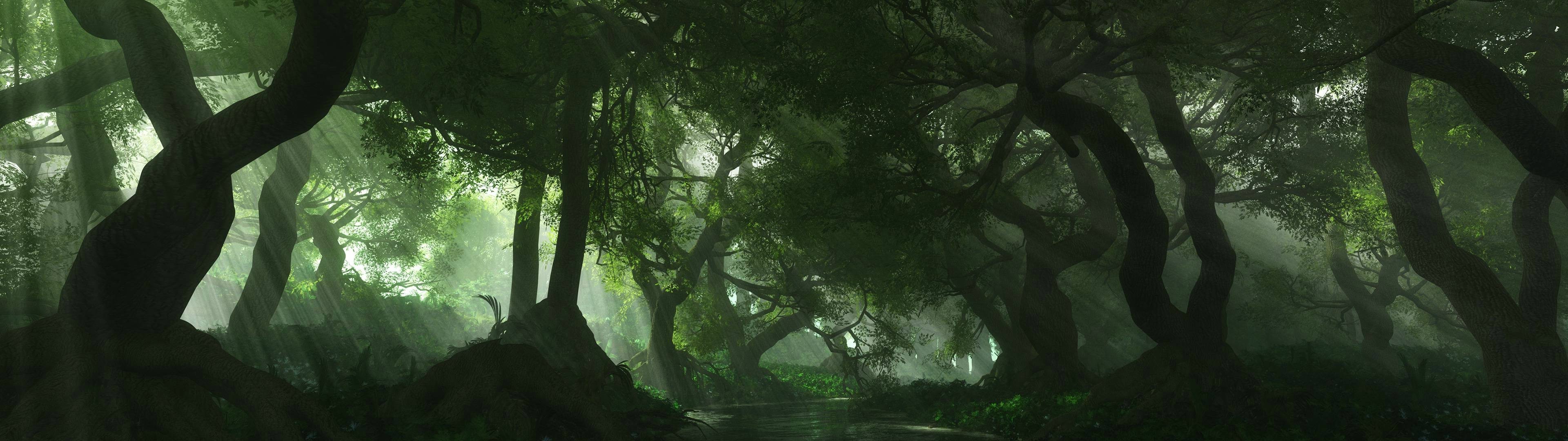 Dual Monitor Forest Wallpapers