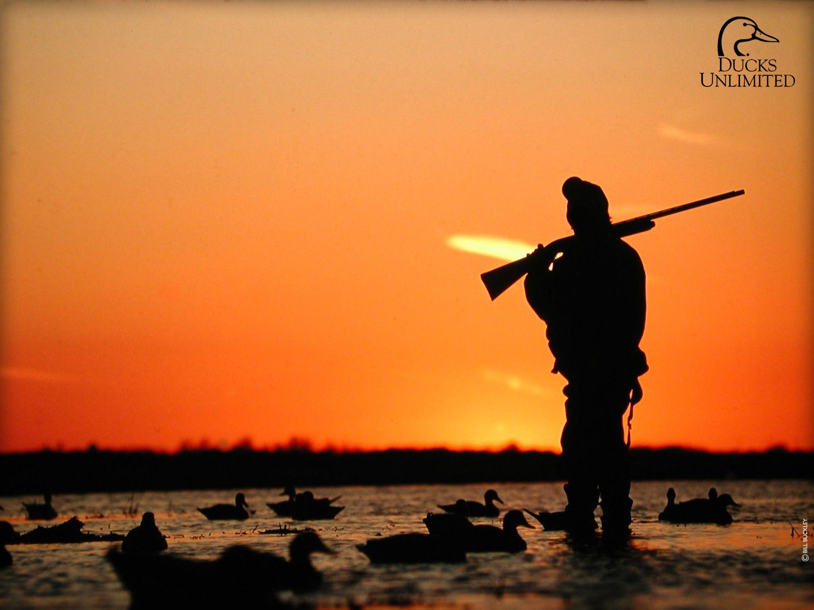 Duck Hunting Wallpapers