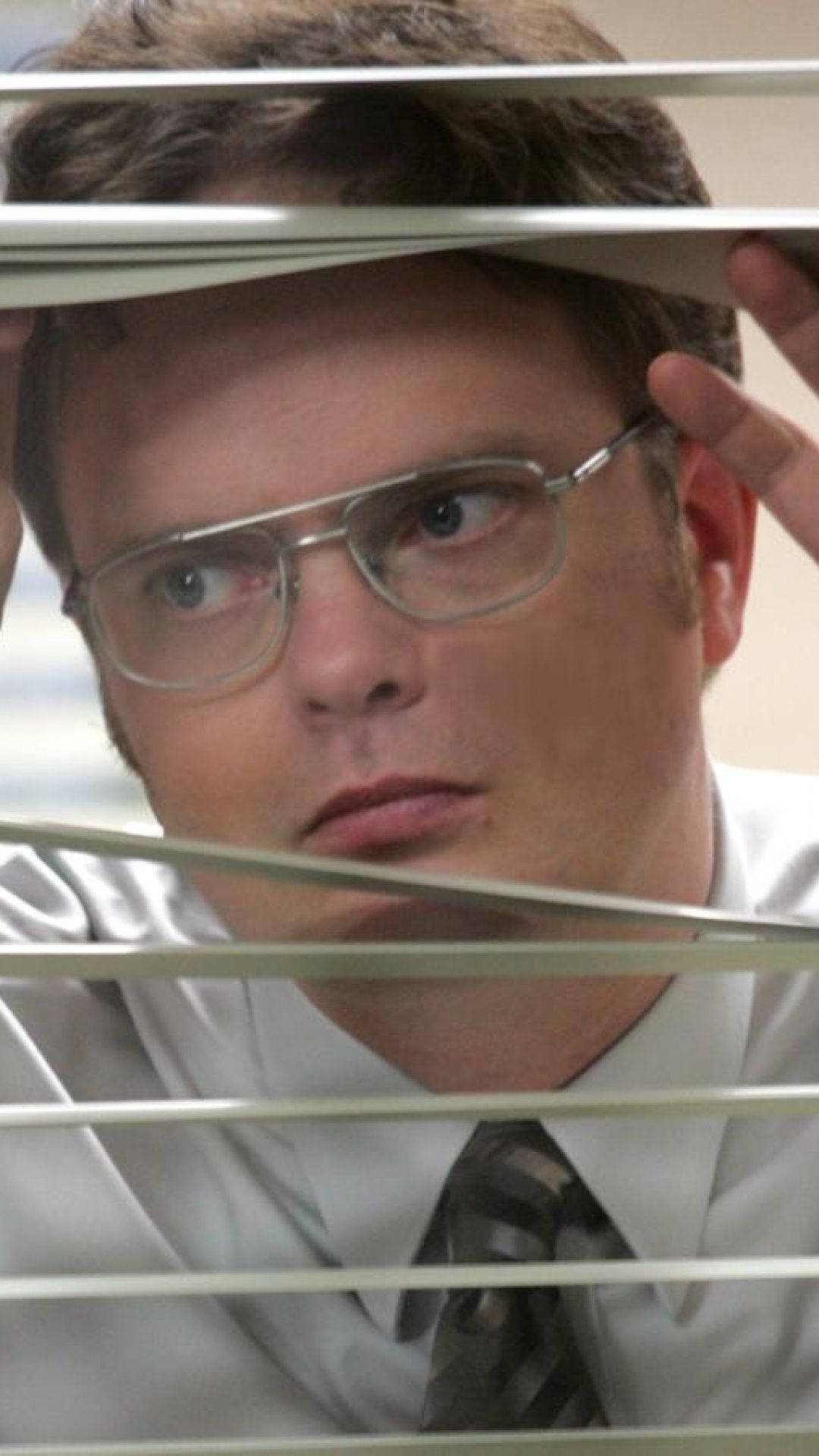 Dwight Schrute Wallpapers