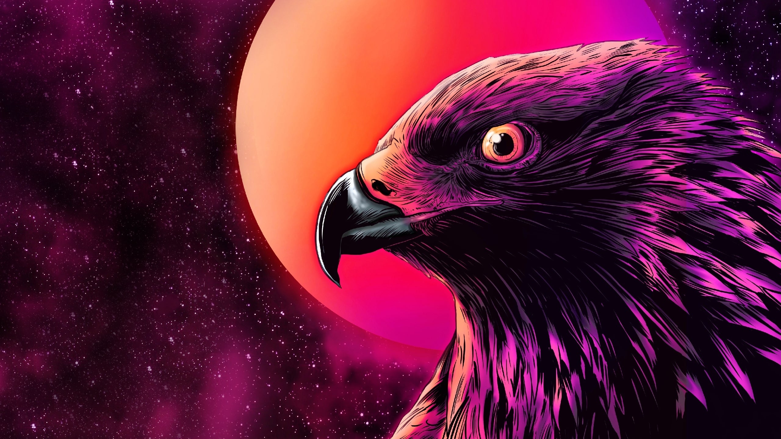 Eagle Hd Wallpapers