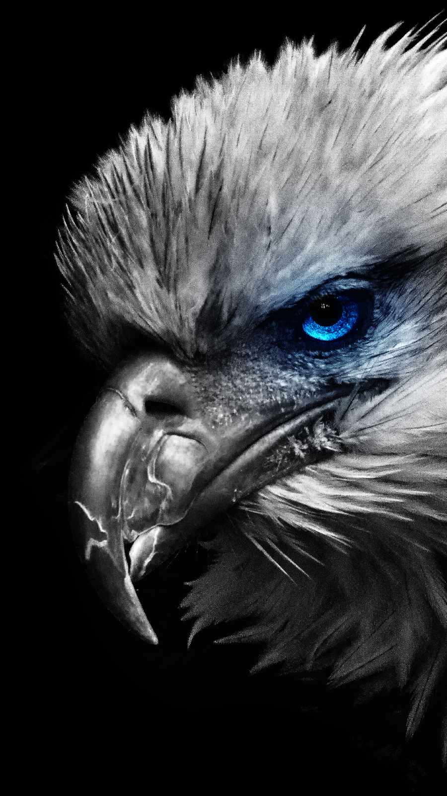 Eagle Iphone Wallpapers