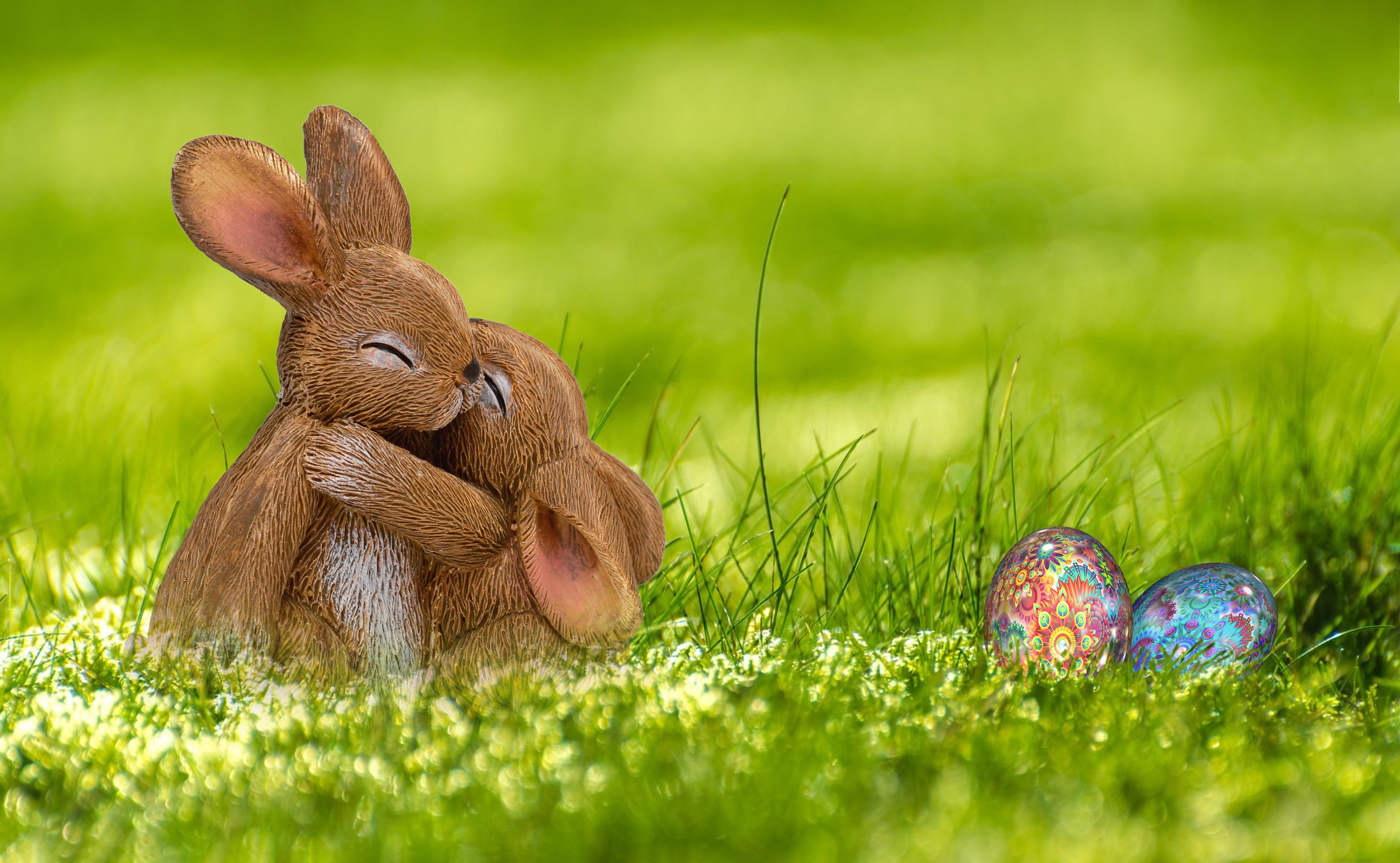 Easter Animal Images Wallpapers