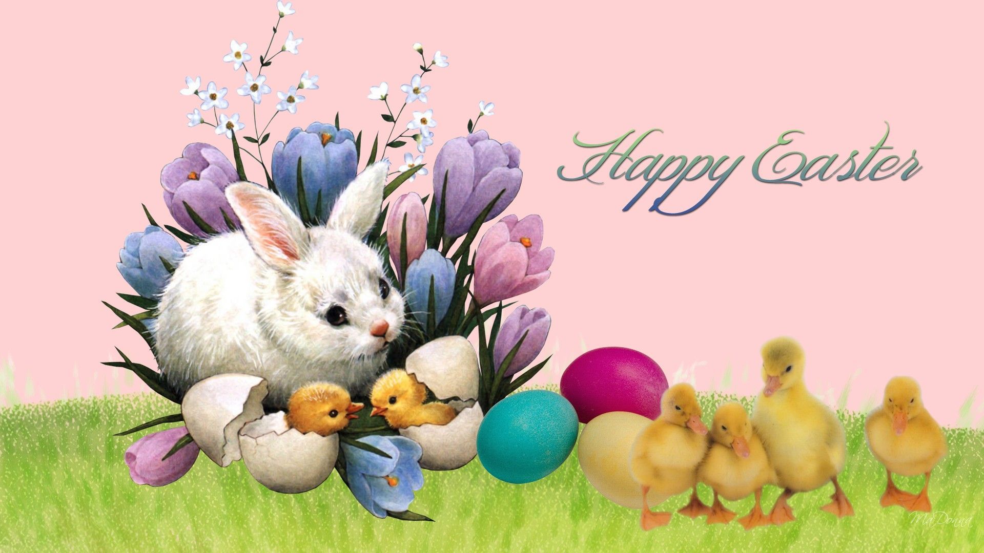 Easter Animal Images Wallpapers