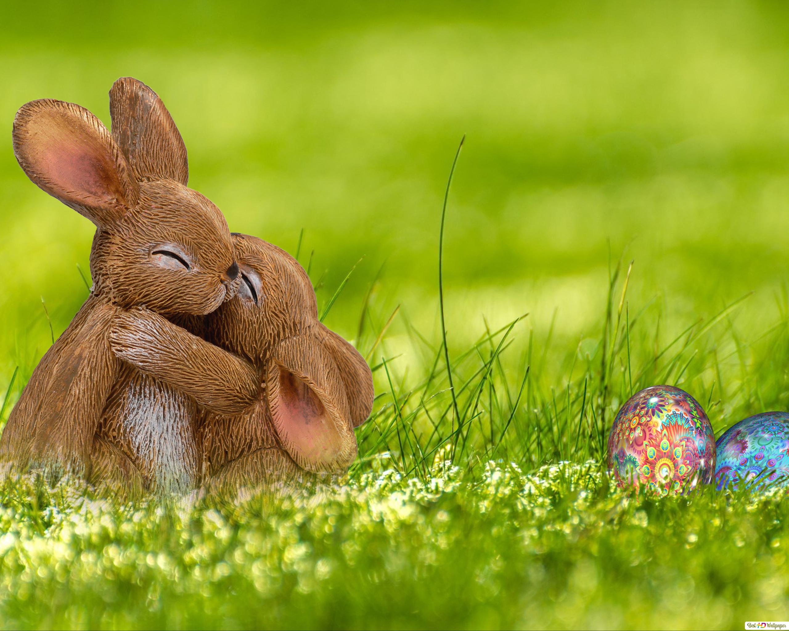 Easter Bunnies Wallpapers