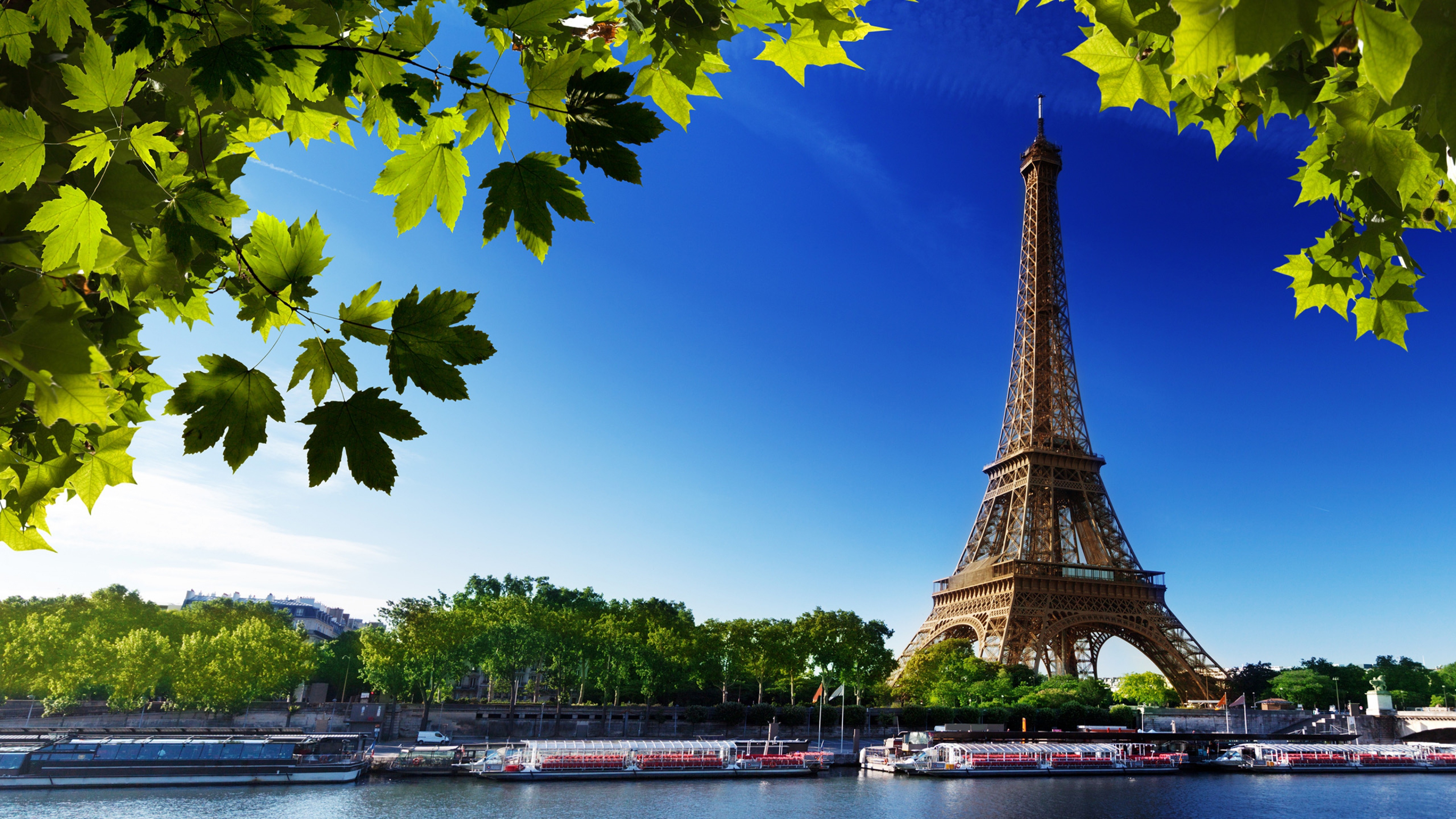 Eiffel Tower Widescreen Wallpapers