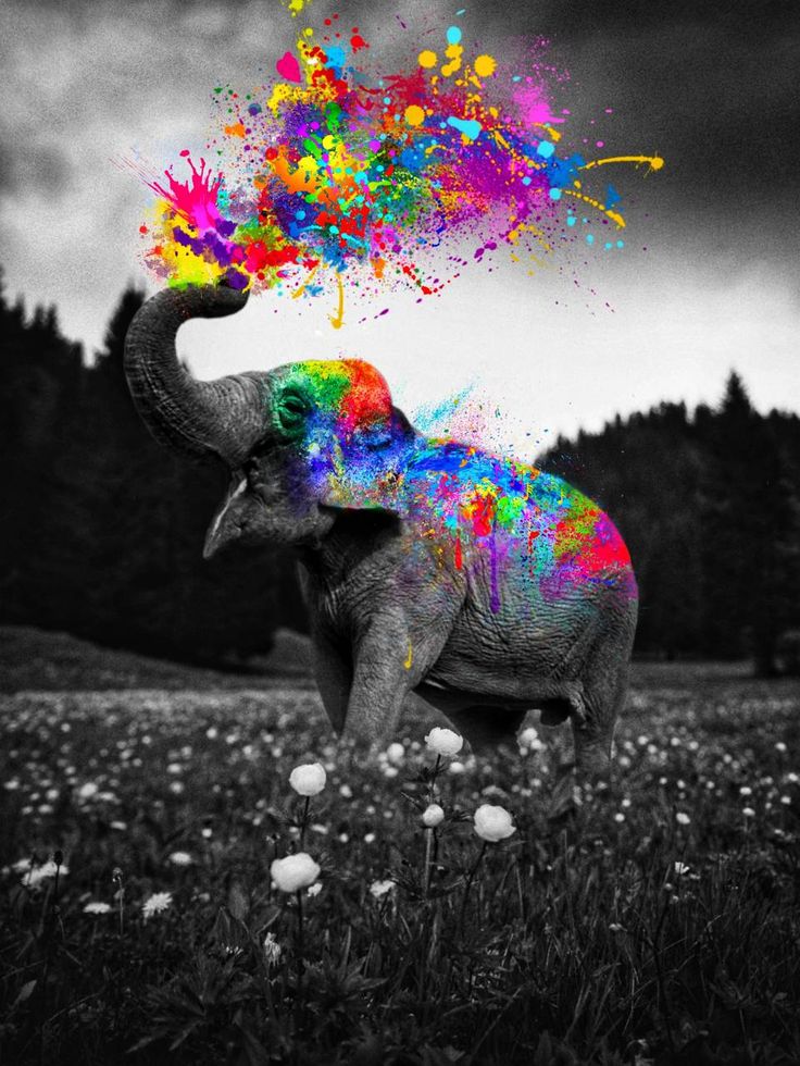 Elephant Art Wallpapers