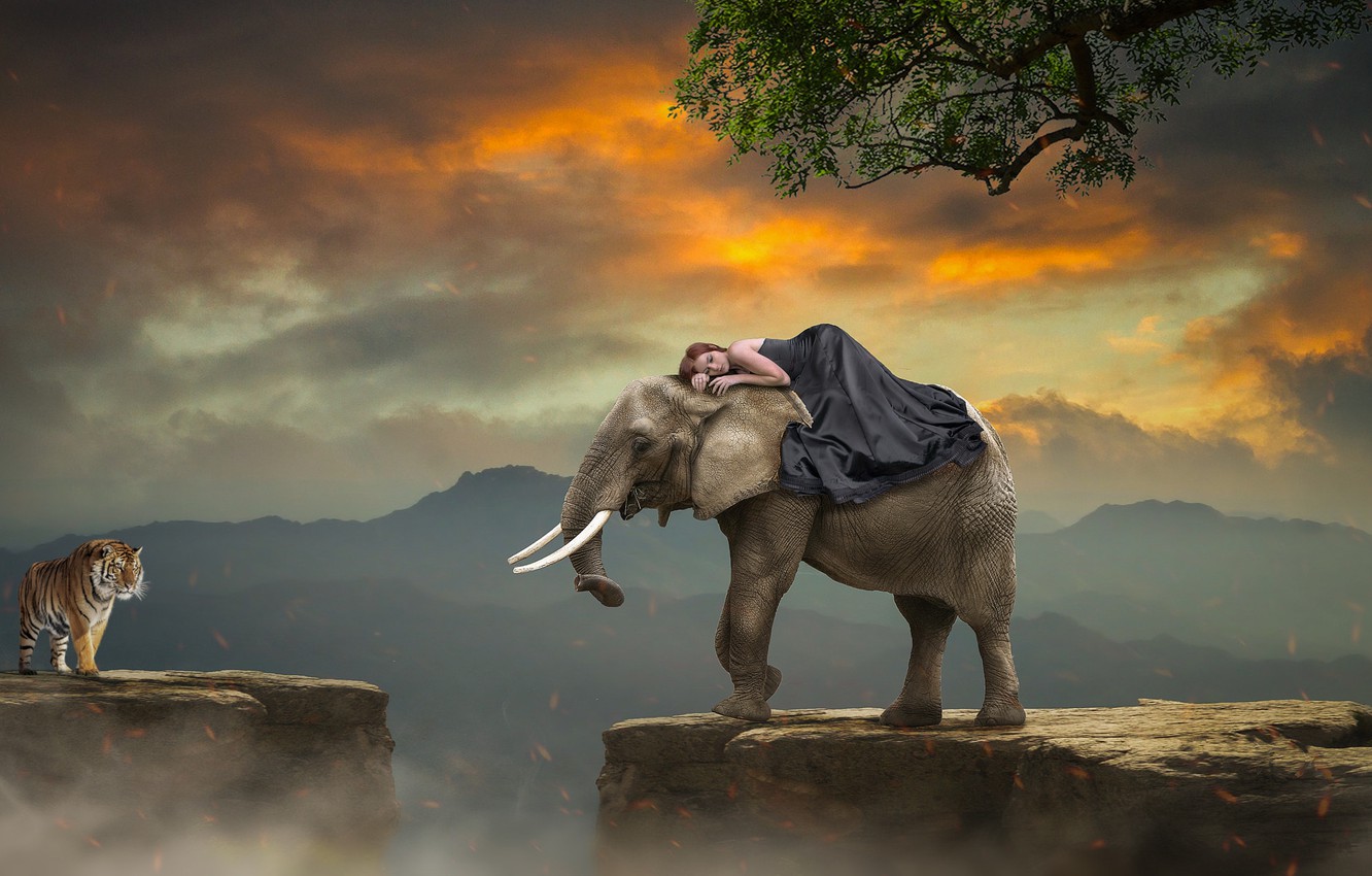 Elephant Art Wallpapers