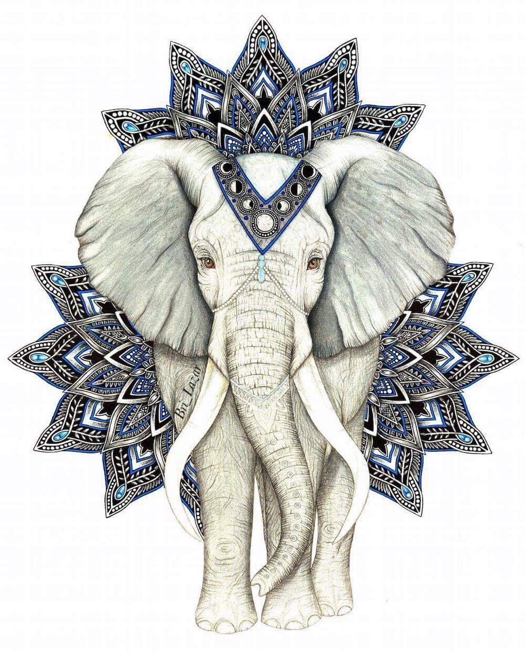 Elephant Mandala Wallpapers