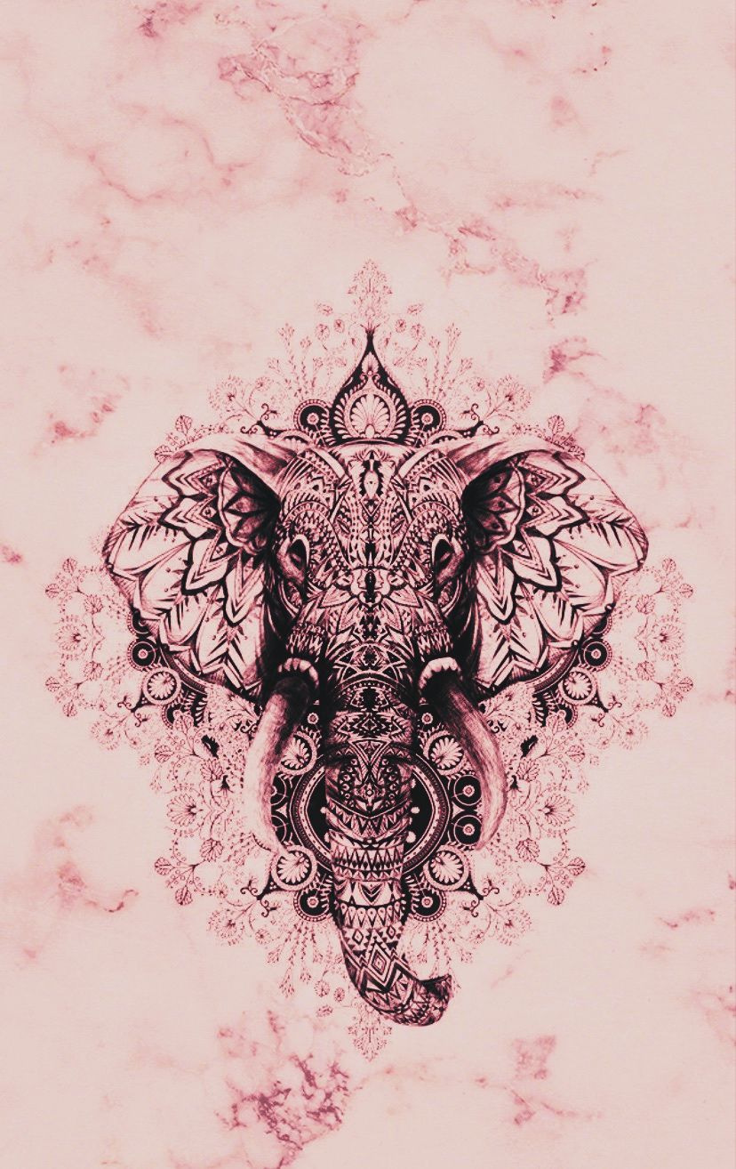 Elephant Mandala Wallpapers