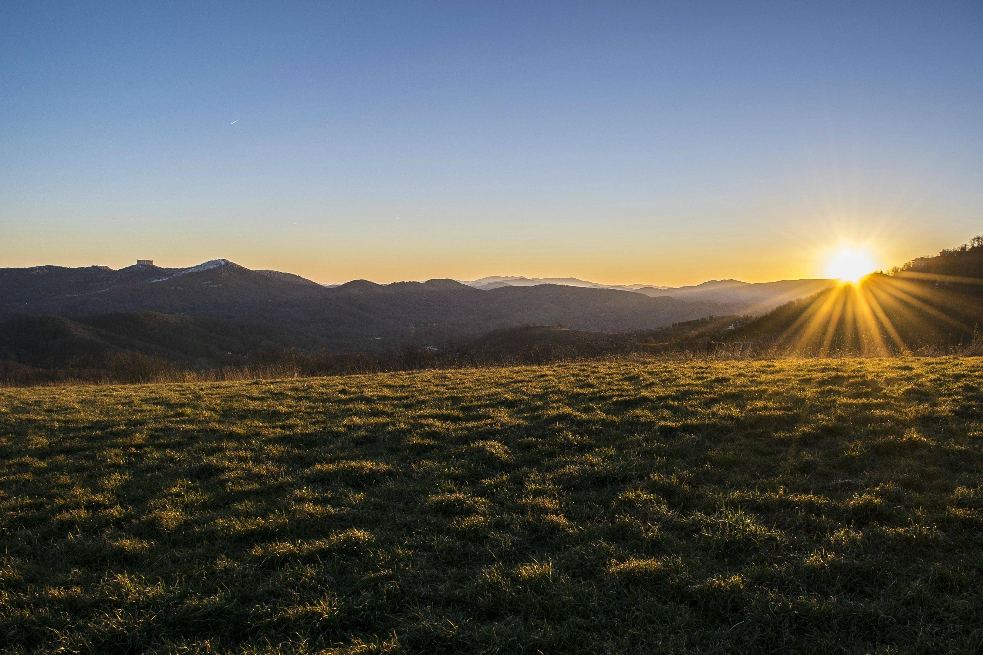 Elk Sunset Wallpapers