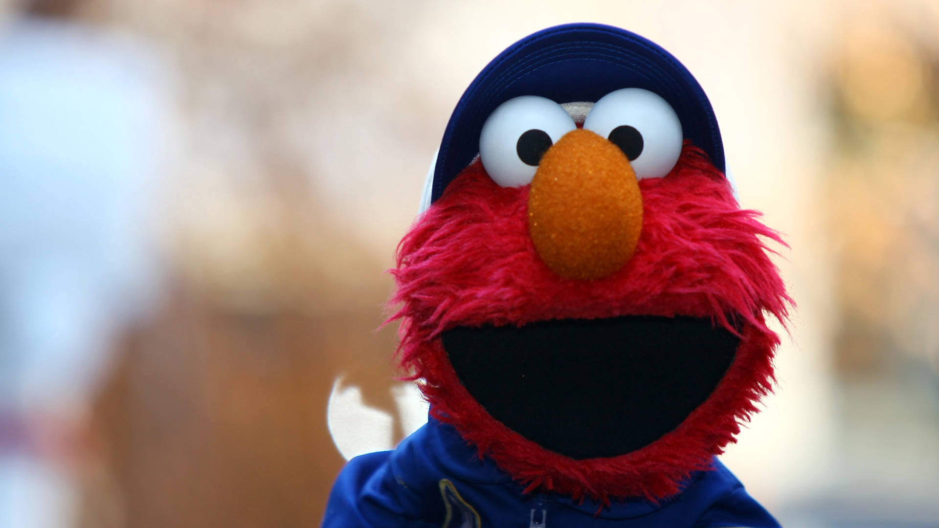 Elmo Wallpapers