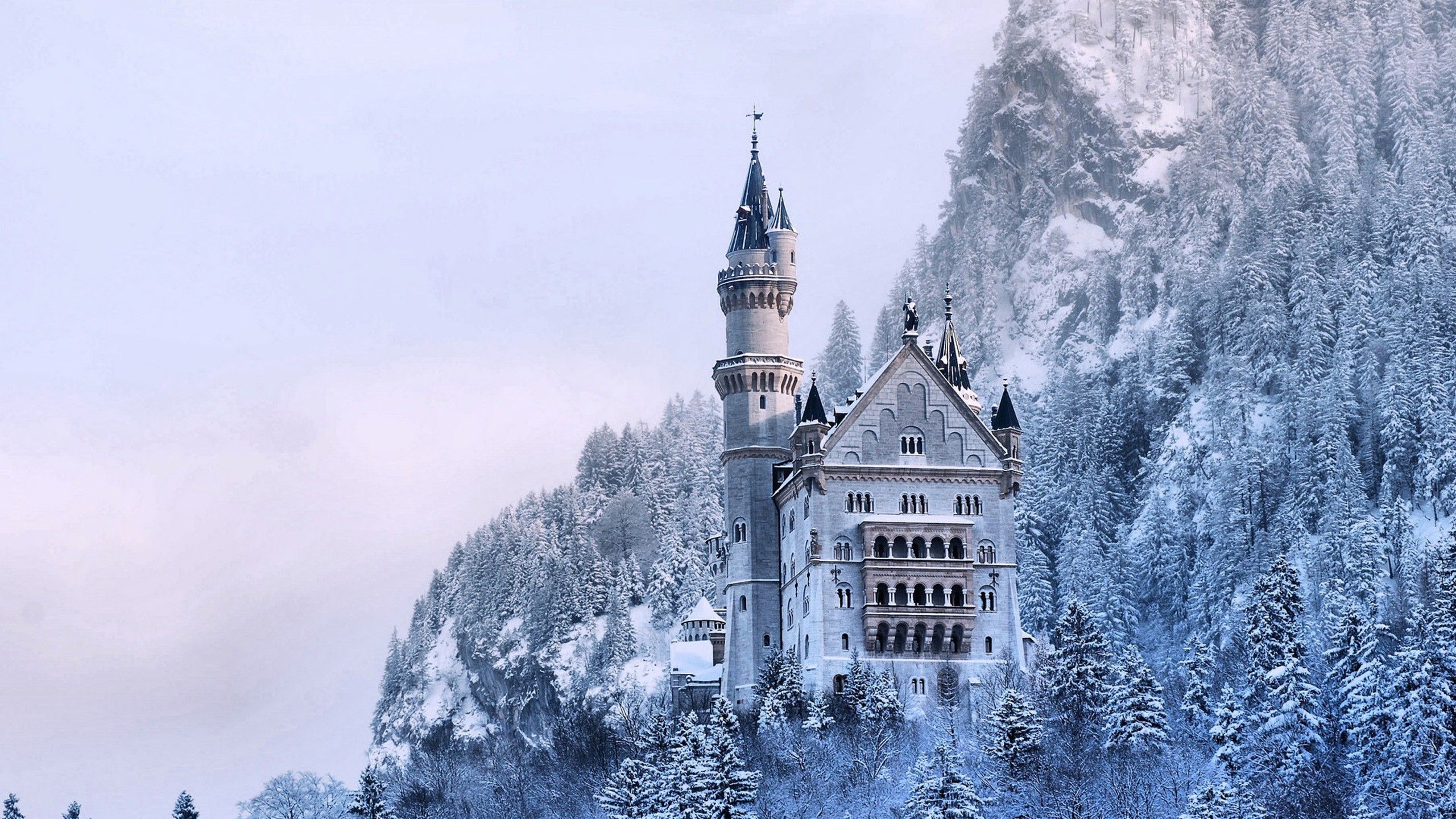 Elsa Castle Wallpapers