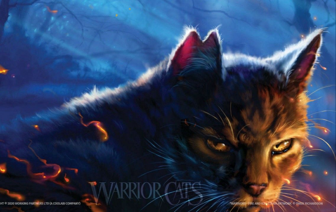 Epic Cat Wallpapers