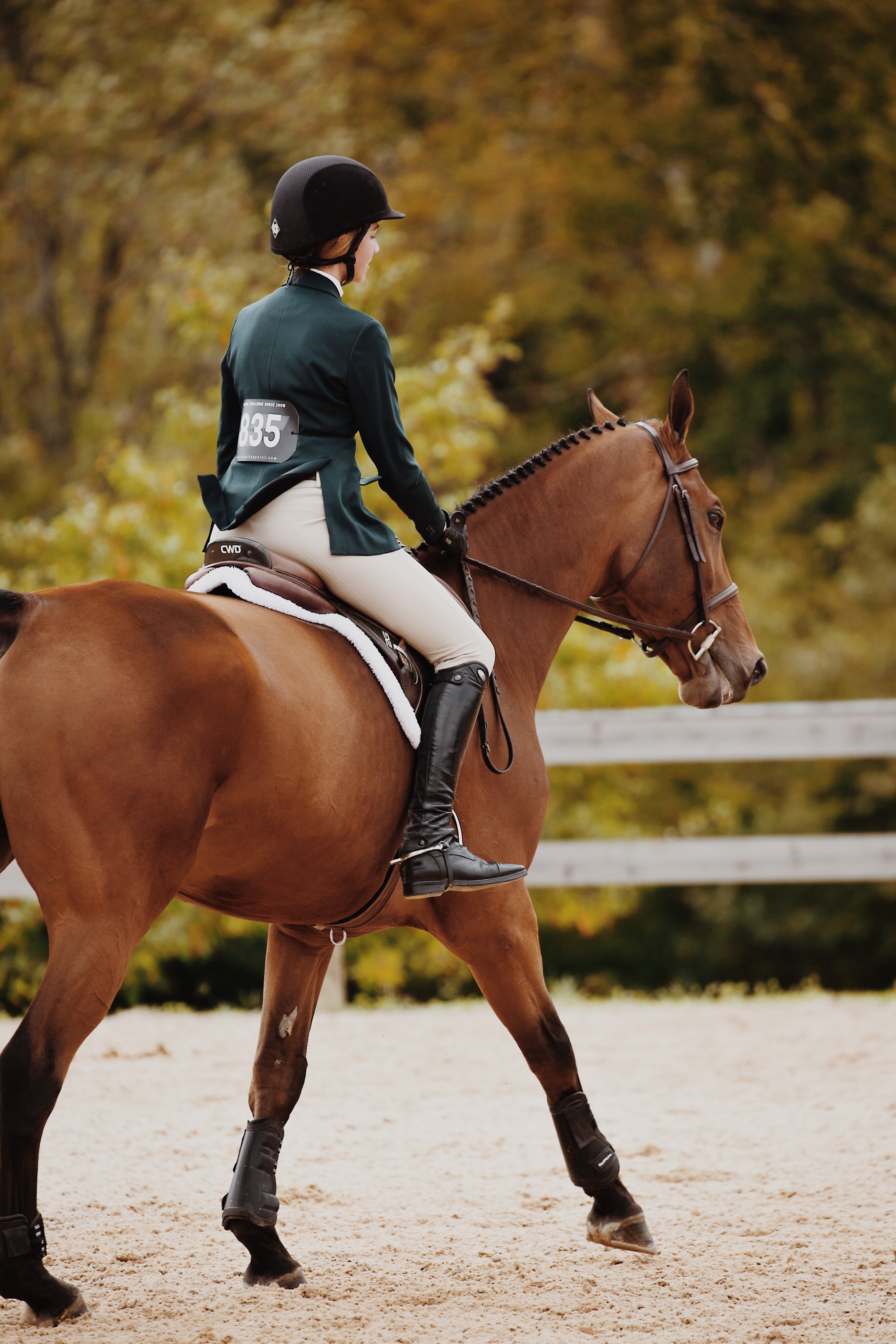 Equestrian Wallpapers