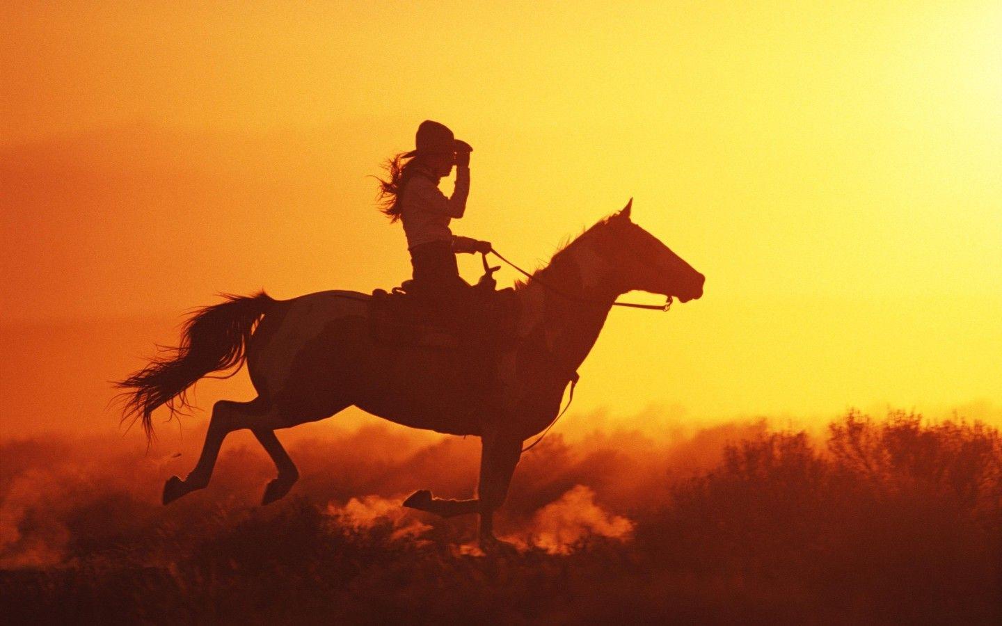 Equestrian Wallpapers