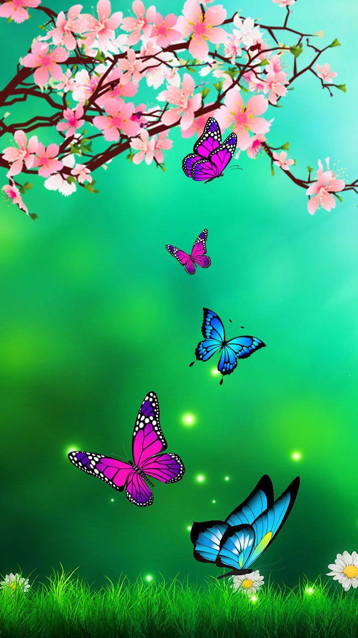 Exotic Butterflies Images Wallpapers