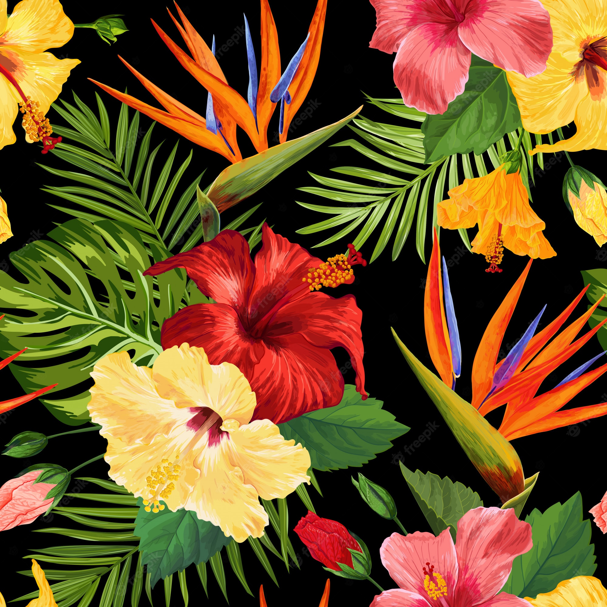 Exotic Flowers Wallpapers