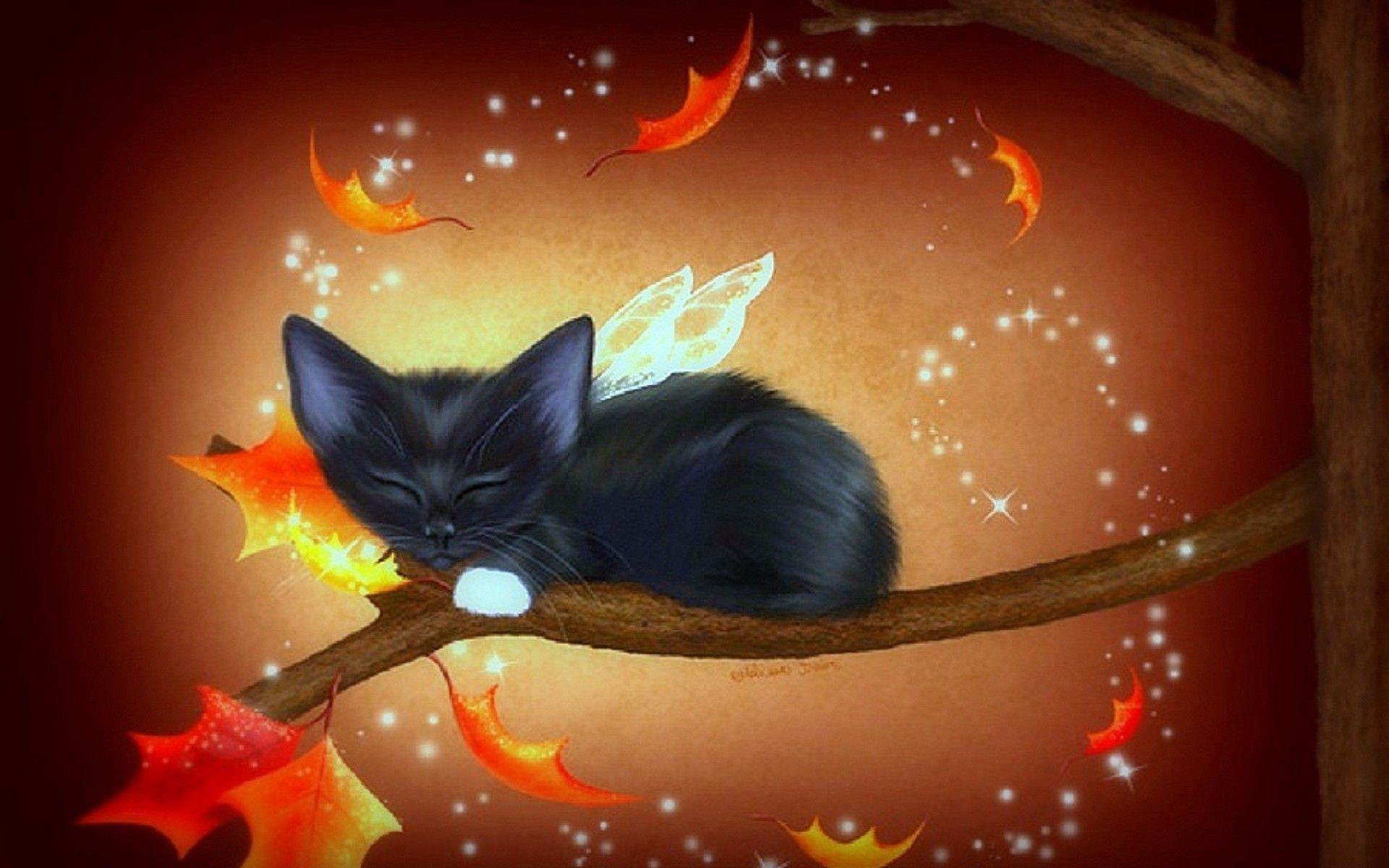 Fall Cat Wallpapers