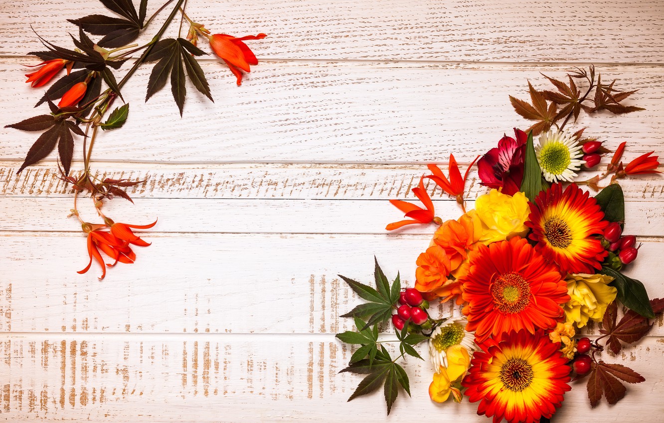 Fall Floral Wallpapers