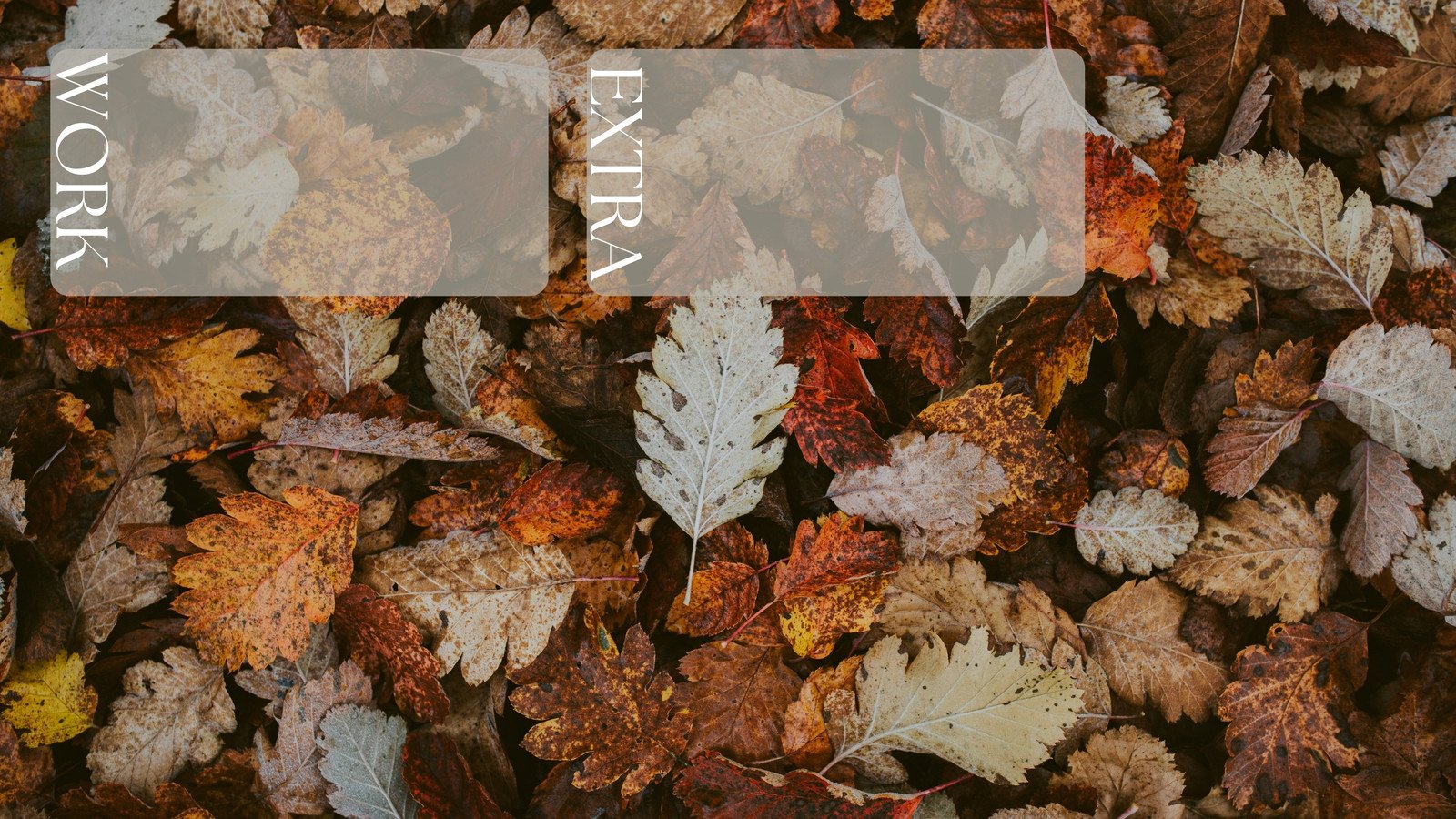 Fall Floral Wallpapers