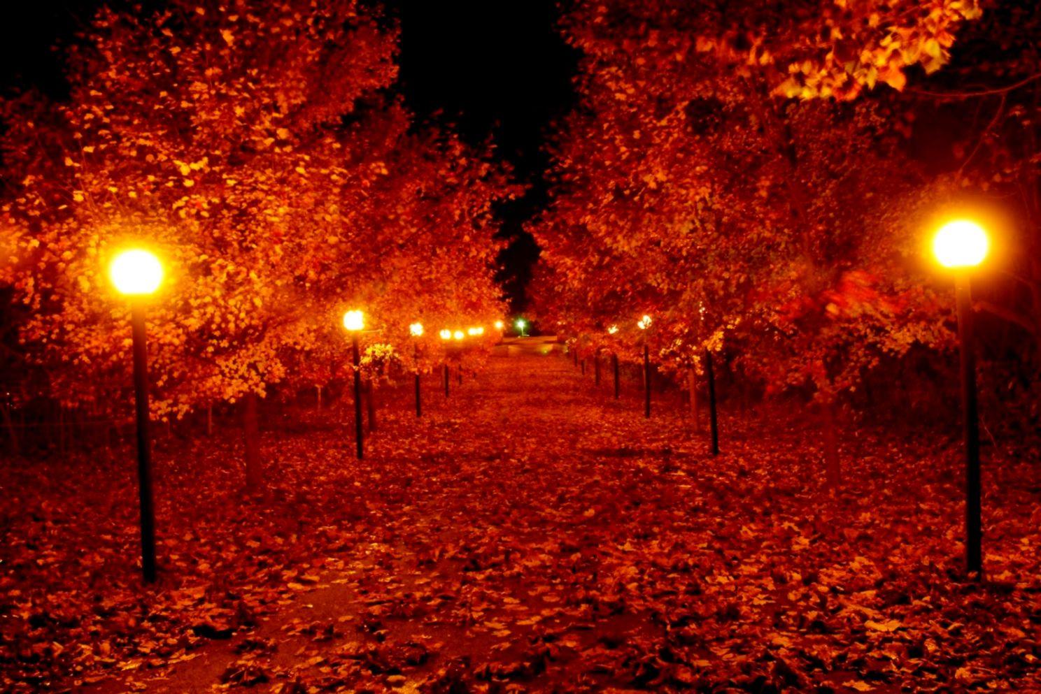 Fall Lights Wallpapers