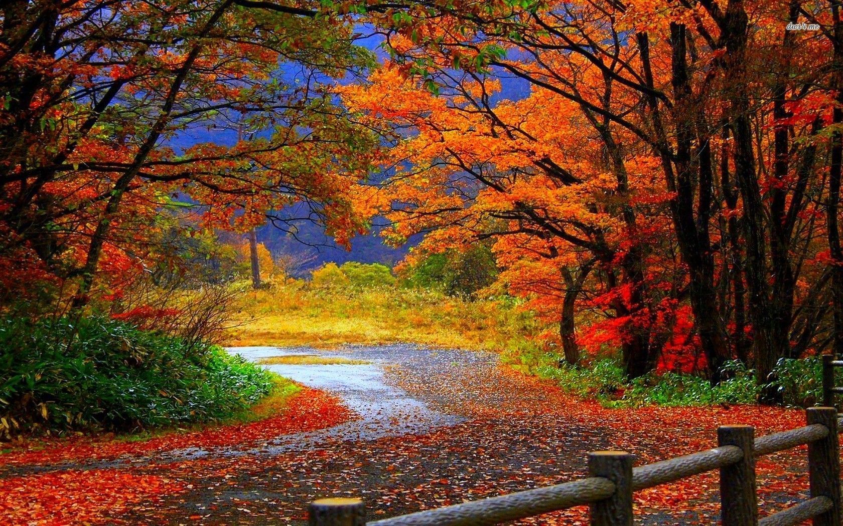 Fall Nature Pictures Wallpapers