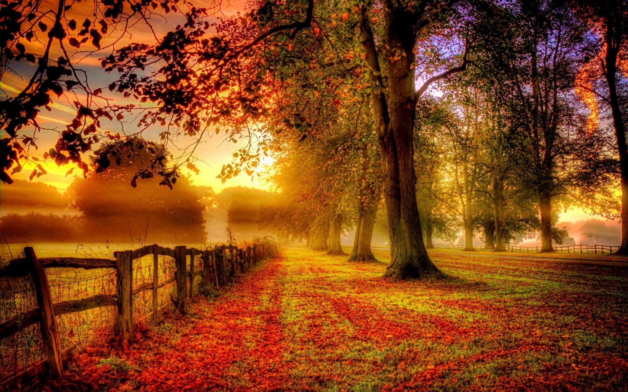 Fall Nature Pictures Wallpapers