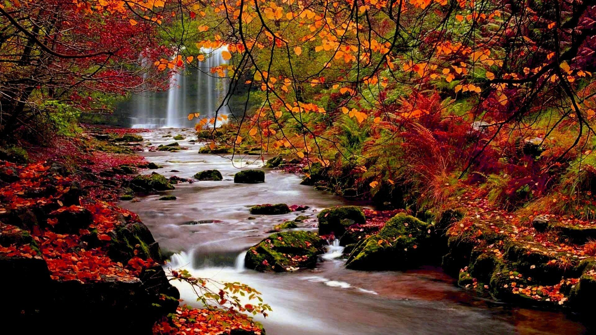 Fall Nature Wallpapers