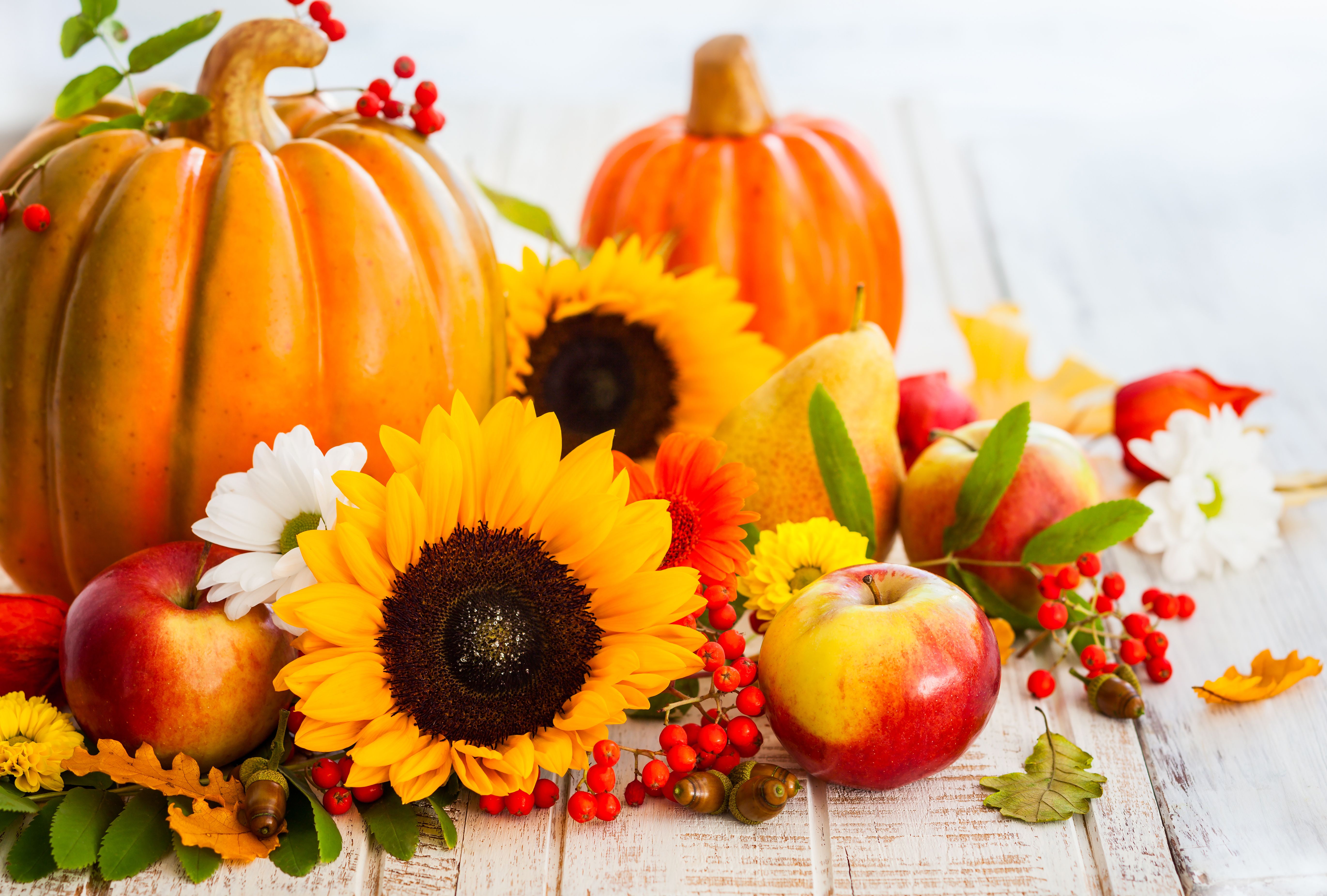 Fall Pictures With Pumpkins And Sunflowers Wallpapers